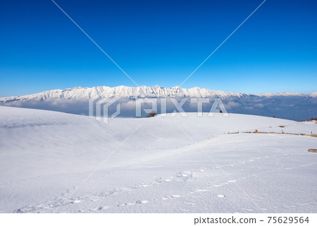 Mountain Range of Monte Baldo and Adamello seen from Lessinia Plateau - Italy Mountain Range of Monte Baldo and Adamello seen from Lessinia Plateau - Italy 75629564