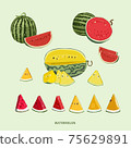 Hand-painted watermelon, red watermelon, vector illustration 75629891
