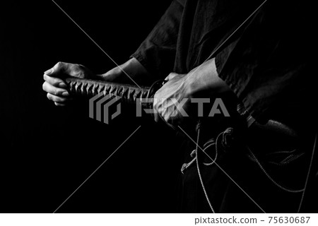 Swordplay demonstration Swordplay demonstration 75630687