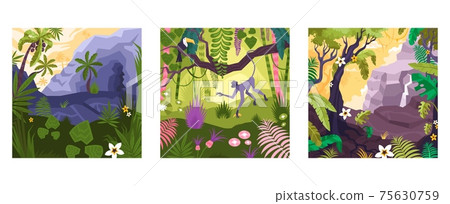 Magic Rainforest Compositions Set 75630759