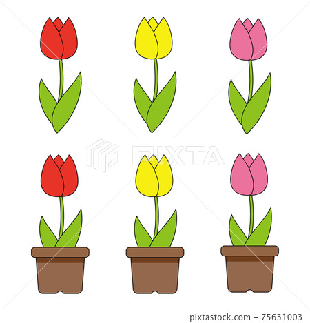 例證套鬱金香 例證套鬱金香 75631003