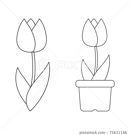 鬱金香圖設置線條藝術 鬱金香圖設置線條藝術 75631186