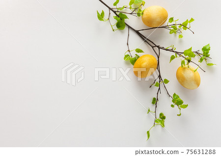 Easter concept with birch branch and eggs 75631288