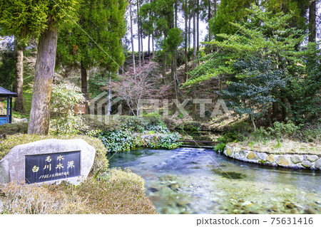 南阿蘇（熊本縣阿蘇郡）美麗的白河水源 75631416