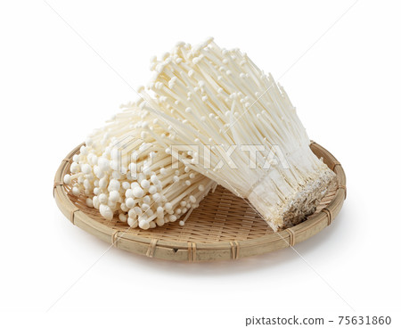Enoki mushroom 75631860