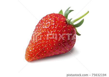一粒草莓 一粒草莓 75632194