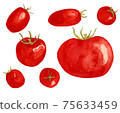 Watercolor tomatoes set. Hand drawing juicy tomato set. 75633459