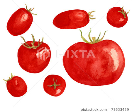 Watercolor tomatoes set. Hand drawing juicy tomato set. Watercolor tomatoes set. Hand drawing juicy tomato set. 75633459