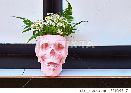 Flower pot in the form of a skull on a outdoor shelf at a street cafe Flower pot in the form of a skull on a outdoor shelf at a street cafe 75634747