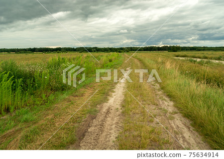 Country road through meadows and cloudy sky Country road through meadows and cloudy sky 75634914
