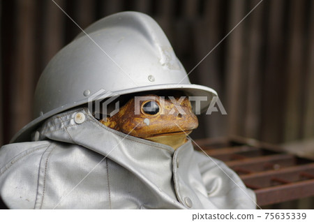 Firefighting clothes and frogs 75635339