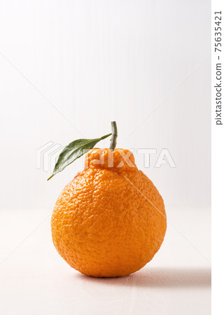 橘子 75635421