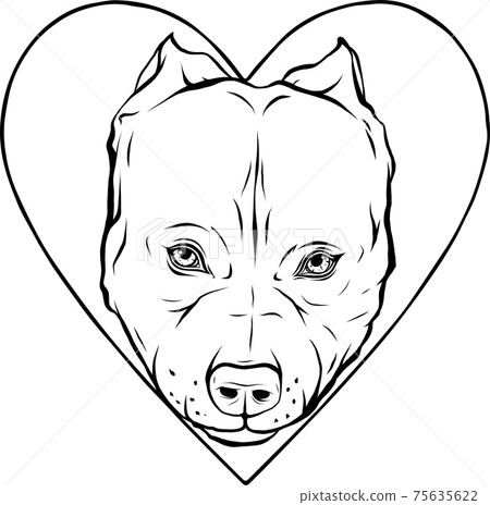 draw in black and white of pitbull head dog in heart vector illustration 75635622