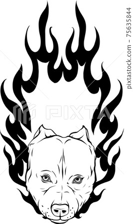 draw in black and white of head of Bull Dog with Flame vector draw in black and white of head of Bull Dog with Flame vector 75635844