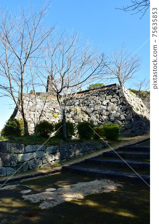 Nobeoka Castle 33 Nobeoka Castle 33 75635853
