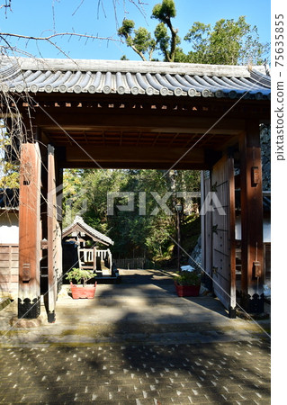 延岡城35 延岡城35 75635855
