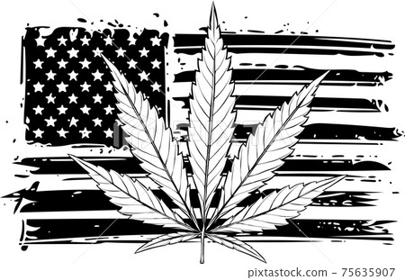 draw in black and white of Illustration of USA flag with a hemp leaf 75635907