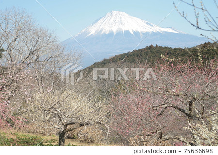 Mountains and parks 75636698