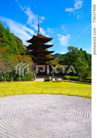 Rurikoji Temple Five Story Tower Rurikoji Temple Five Story Tower 75637409