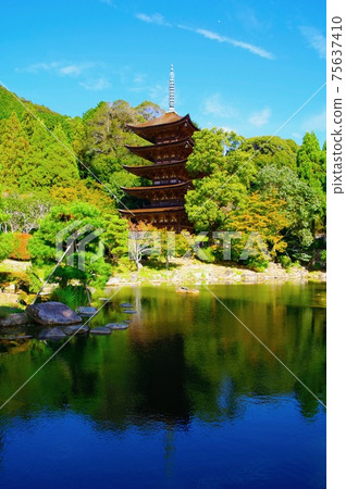 Rurikoji Five-storied Pagoda and Mirror Image Rurikoji Five-storied Pagoda and Mirror Image 75637410