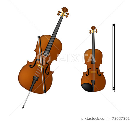 Musical instruments. Vector 75637501