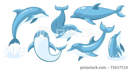 Dolphin vector set 75637510
