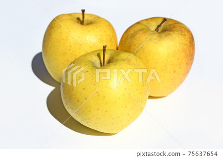 蘋果(Sun Venus) 蘋果(Sun Venus) 75637654