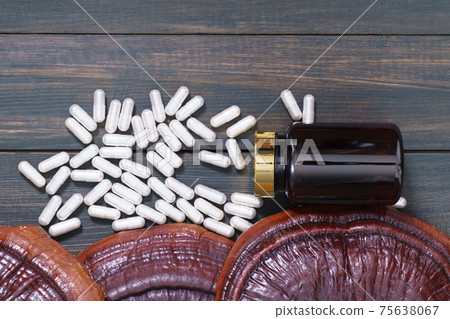 Ling zhi mushroom and capsule with bottle mockup Ling zhi mushroom and capsule with bottle mockup 75638067