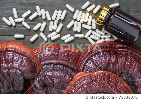 Ling zhi mushroom and capsule with bottle mockup Ling zhi mushroom and capsule with bottle mockup 75638070