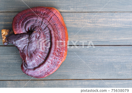 Close up of Ling zhi mushroom on wood table 75638079