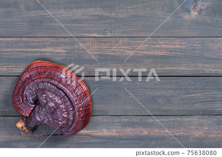 Close up of Ling zhi mushroom on wood table Close up of Ling zhi mushroom on wood table 75638080