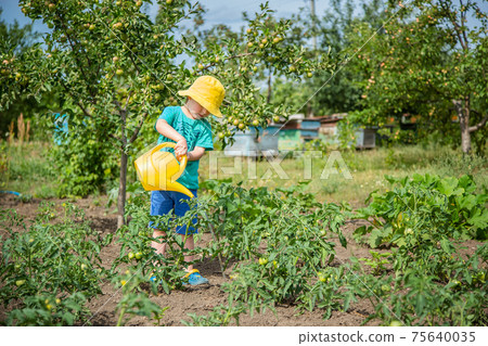 Little boy watering Little boy watering 75640035