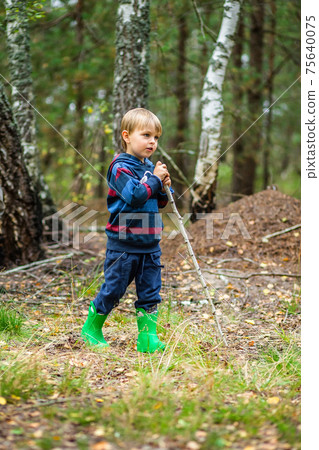 Children walk in the forest with canes. Children walk in the forest with canes. 75640075