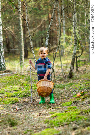 Children walk in the forest with canes. Children walk in the forest with canes. 75640076