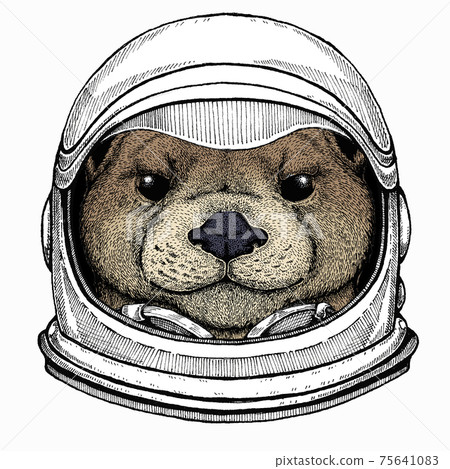 Vector portrait of otter. Head of wild animal. Astronaut animal. Vector portrait. Cosmos and Spaceman. Space illustration about travel to the moon. Funny science hand drawn illustration. 75641083
