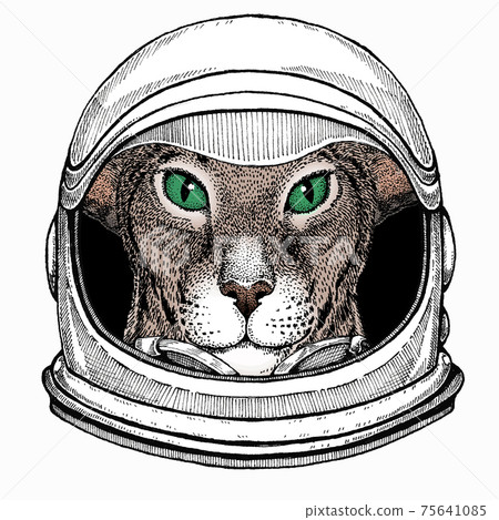 Oriental cat. Astronaut animal. Vector portrait. Cosmos and Spaceman. Space illustration about travel to the moon. Funny science hand drawn illustration. 75641085