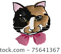 Crazy calico cat 75641367