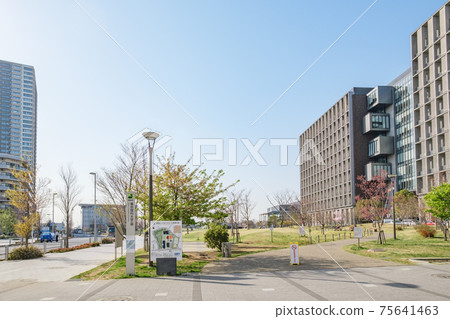 東京葛飾區新宿市的城市景觀，重新開發的居民區和草坪公園 75641463