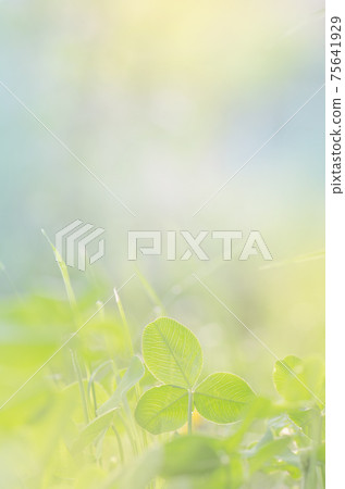 Natural green background. Natural green background. 75641929