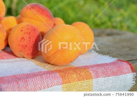 Ripe apricots on green background 75641990
