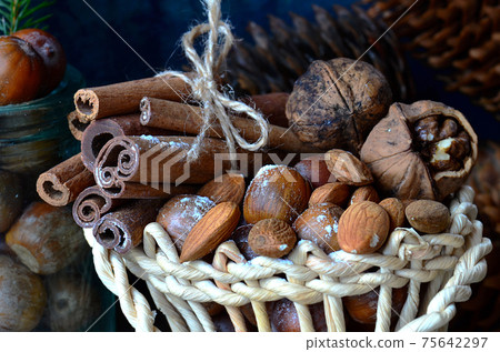 Nuts cones acorns on closeup Nuts cones acorns on closeup 75642297