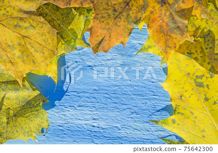Autumn background with leaves. Autumn background with leaves. 75642300