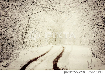 Winter landscape in warm tones. 75642490