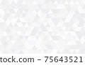 Abstract geometry  triangle  pattern white and gray background.vector 75643521