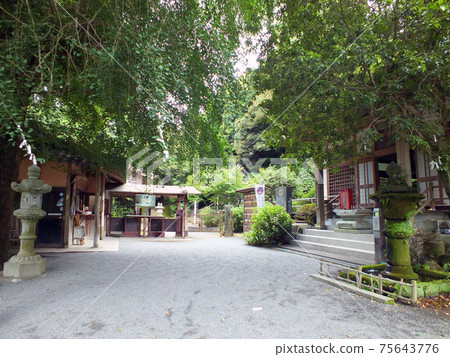 Reigando, which is related to Miyamoto Musashi 75643776