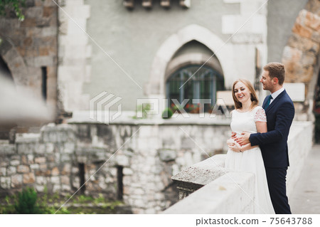Sensual portrait of a young wedding couple. Outdoor 75643788