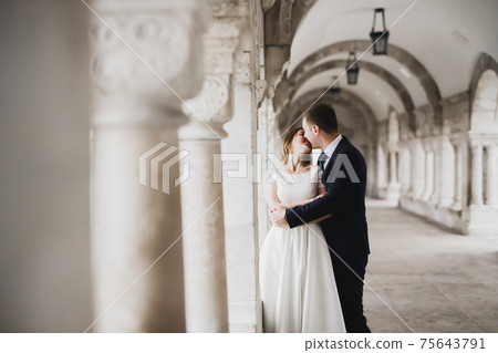 Beautiful bride and groom embracing and kissing on their wedding day outdoors 75643791