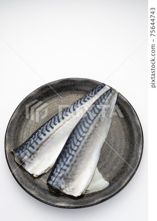 Salt Sabafille 75644743
