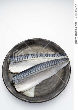 Salt Sabafille 75644744