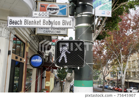 SAN FRANCISCO, CALIFORNIA, UNITED STATES - NOV 25th, 2018: Signal for pedestrians in the US, against the backdrop of lush trees, with a blurred depth of field SAN FRANCISCO, CALIFORNIA, UNITED STATES - NOV 25th, 2018: Signal for pedestrians in the US, against the backdrop of lush trees, with a blurred depth of field 75645907